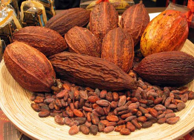 Cacao brut